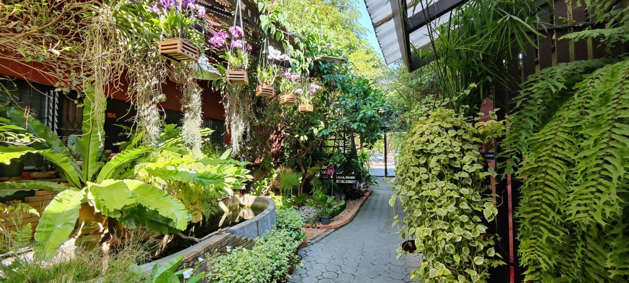 Hoh Guesthouse 치앙마이 외부 사진