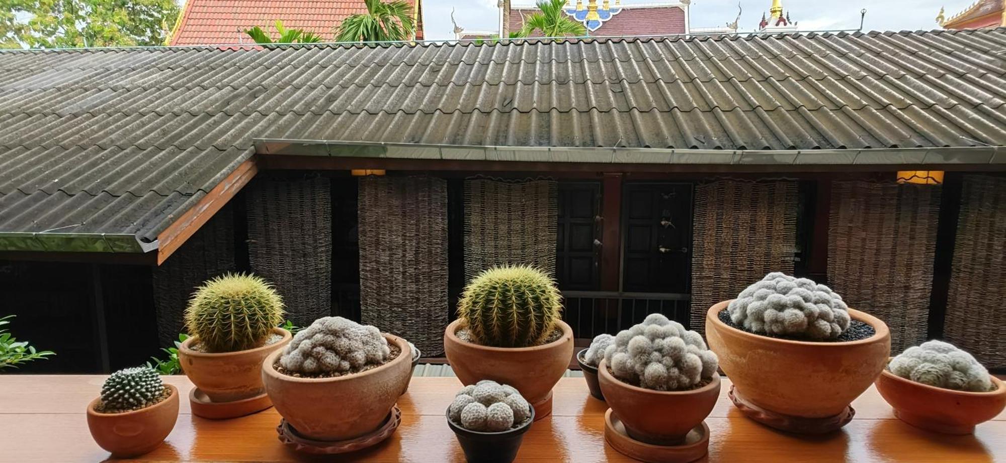 Hoh Guesthouse 치앙마이 외부 사진