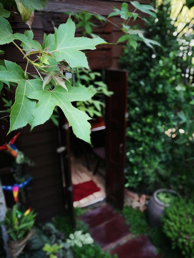 Hoh Guesthouse 치앙마이 외부 사진